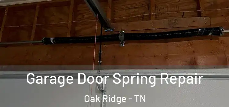  Garage Door Spring Repair Oak Ridge - TN