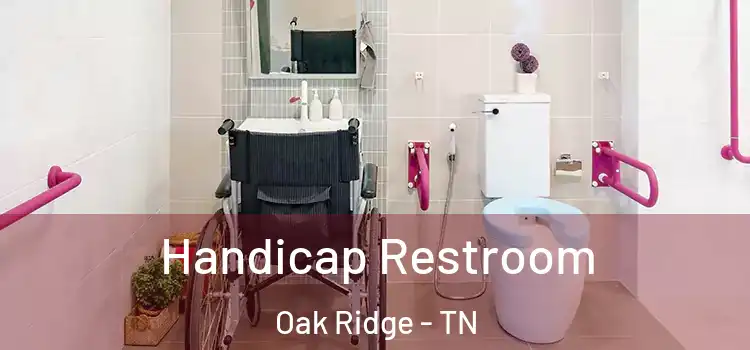 Handicap Restroom Oak Ridge - TN