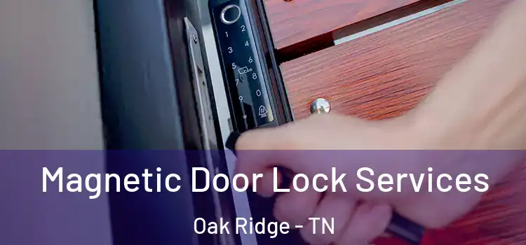 Magnetic Door Lock Services Oak Ridge - TN