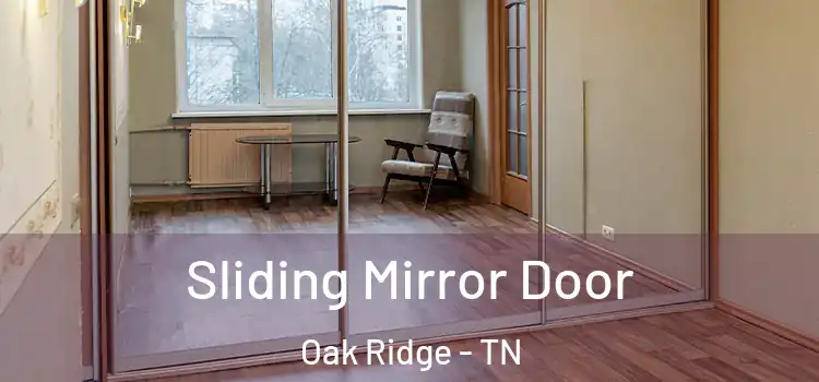  Sliding Mirror Door Oak Ridge - TN
